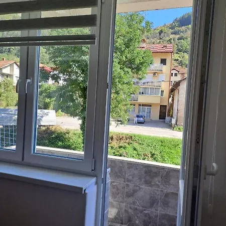 Stan Na Dan -foca Foca